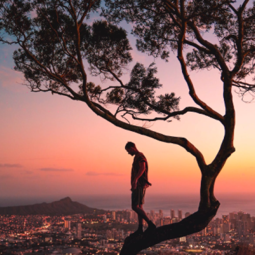 man and a tree