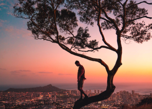 Guy and a Tree