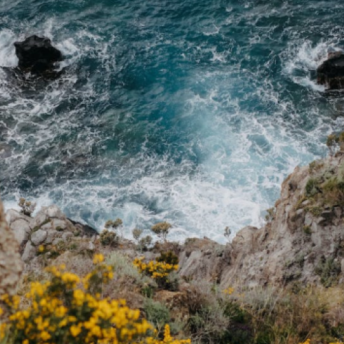 Ocean